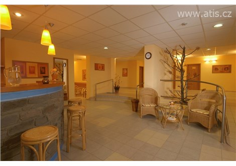 OREA Wellness  hotel  HORIZONT - Železná - 