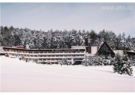 PARKHOTEL VŠEMINA - Všemina - 
