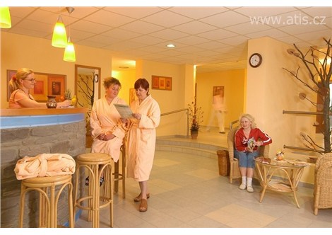 OREA Wellness  hotel  HORIZONT - Železná - 