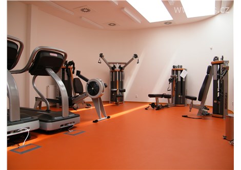 LÁZEŇSKÉ PENZIONY - Konstantinovy Lázně - Fitness