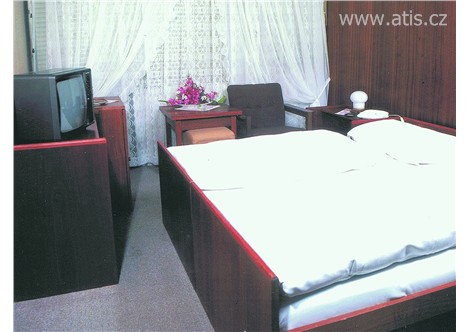 PARKHOTEL VŠEMINA - Všemina - 