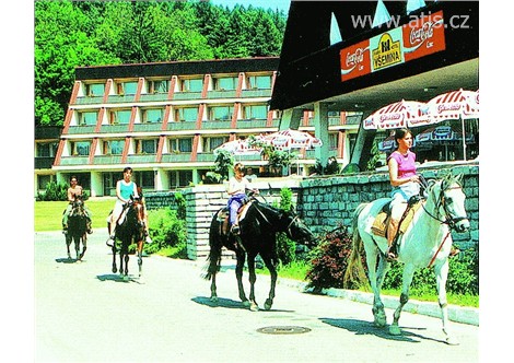 PARKHOTEL VŠEMINA - Všemina - 
