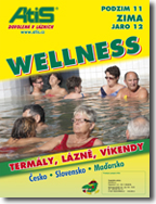 Wellness 2012