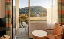 SPA RESORT SANSSOUCI - Karlovy Vary - Výhled z pokoje