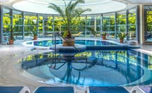 THERMAL HOTEL VISEGRÁD - Visegrád