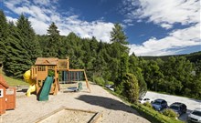 PYTLOUN WELLNESS HOTEL HARRACHOV - Harrachov