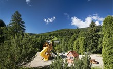 PYTLOUN WELLNESS HOTEL HARRACHOV - Harrachov