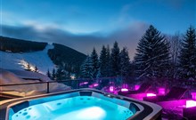 PYTLOUN WELLNESS HOTEL HARRACHOV - Harrachov