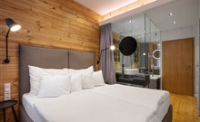 PYTLOUN WELLNESS HOTEL HARRACHOV - Harrachov