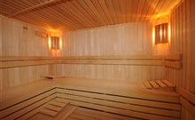 WELLNESS RESORT ENERGETIC - Rožnov pod Radhoštěm - Wellness - finská sauna