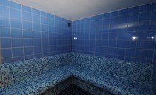 WELLNESS RESORT ENERGETIC - Rožnov pod Radhoštěm - Wellness, parní sauna
