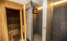 RESORT ORSINO - Horní Planá - Wellness