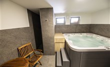 RESORT ORSINO - Horní Planá - Wellness
