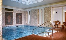 OREA SPA HOTEL PALACE ZVON - Mariánské Lázně