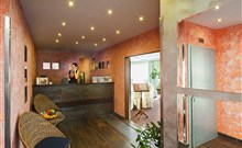 Hotel BENICA - Benešov u Prahy - recepce