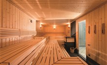 SEMINARIS SEEHOTEL POTSDAM - Postupim - Sauna