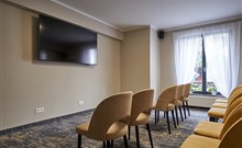 QUEENS HOTEL & WELLNESS - Mariánské Lázně - Konferenční místnost
