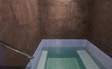 QUEENS HOTEL & WELLNESS - Mariánské Lázně - Wellness bazének se studenou vodou