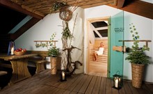 TERME ZREČE VILLAS**** - Terme Zreče