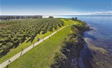 AMINESS LAGUNA - Novigrad