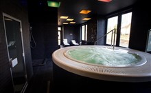 CARLSBAD INN - Dalovice - privátní wellness - whirlpool