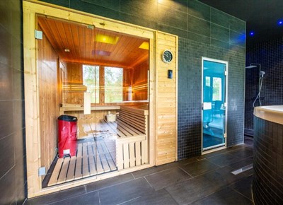 CARLSBAD INN - Dalovice - privátní wellness - sauna