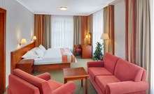 Spa & Wellness Hotel OLYMPIA - Mariánské Lázně - Junior Suite