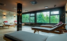 ASTRA - Špindlerův Mlýn - Wellness centrum