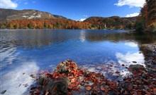 JEZERO - Bohinjsko Jezero - Okolí hotelu - ilustrační foto