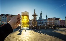 PUTOVÁNÍ PO JIŽNÍCH ČECHÁCH - Pivní festival - zdroj JCCR