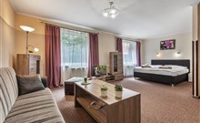 ALŽBĚTA - Sklené Teplice - KD Alžběta - dvoulůžkový apartmán (za příplatek)