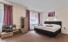 ALŽBĚTA - Sklené Teplice - KD Alžběta - dvoulůžkový apartmán (za příplatek)
