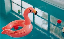 OREA RESORT DEVĚT SKAL VYSOČINA - Milovy - hotelový krytý bazén