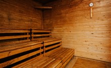 OREA RESORT DEVĚT SKAL VYSOČINA - Milovy - sauna