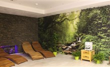 RELAX PENSION SCHÖNWALD - Budišov nad Budišovkou - Podlesí - wellness