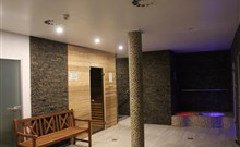 RELAX PENSION SCHÖNWALD - Budišov nad Budišovkou - Podlesí - wellness
