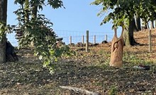 RELAX PENSION SCHÖNWALD - Budišov nad Budišovkou - Podlesí - Pohled na areál mini ZOO