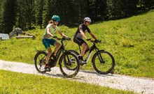 RELAX PENSION SCHÖNWALD - Budišov nad Budišovkou - Podlesí - elektrokola k zapůjčení