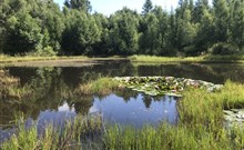 RELAX PENSION SCHÖNWALD - Budišov nad Budišovkou - Podlesí