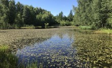 RELAX PENSION SCHÖNWALD - Budišov nad Budišovkou - Podlesí