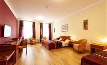 REITENBERGER SPA MEDICAL - Mariánské Lázně - Pokoj Standard