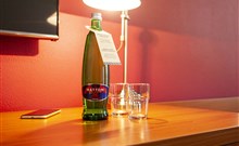 REITENBERGER SPA MEDICAL - Mariánské Lázně - Pokoj Superior