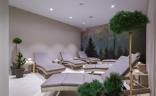 GREEN MOUNTAIN RESORT ***** - Karpacz