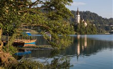 PARK**** - Bled