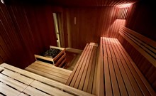 STARÝ MLÝN - Dětřichov u Jeseníku - finská sauna