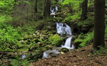 ČINGOV - Smižany