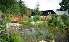 RESORT UKO - Bedřichov - Exteriér