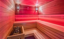 FAGUS HOTEL CONFERENCE & SPA - Sopron - Devil sauna