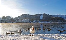 RIKLI BALANCE HOTEL****S - Bled