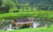HAMMERWIRT FORELLENHOF - Untertauern